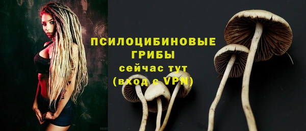 хмурый Дмитров