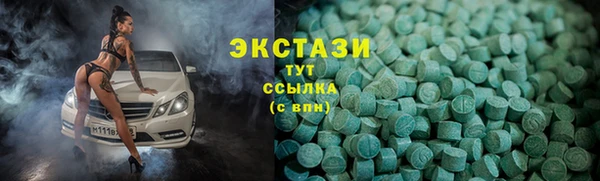 ECSTASY Ельня