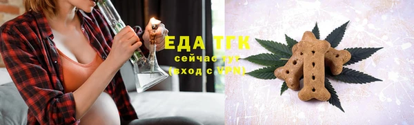 хмурый Дмитров