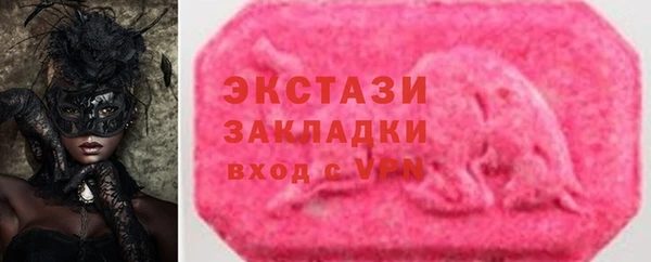 ECSTASY Ельня