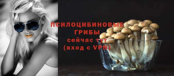 хмурый Дмитров