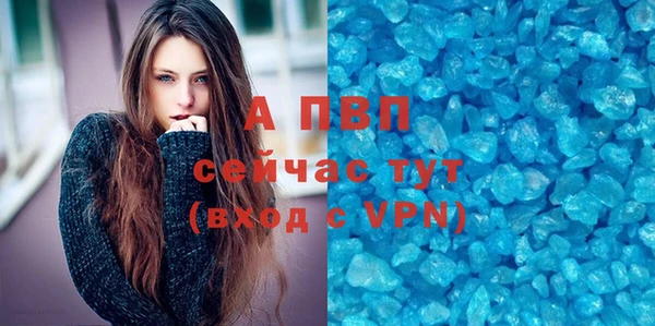 хмурый Дмитров