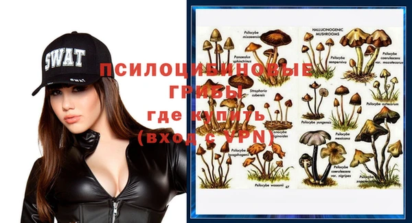 ECSTASY Елизово