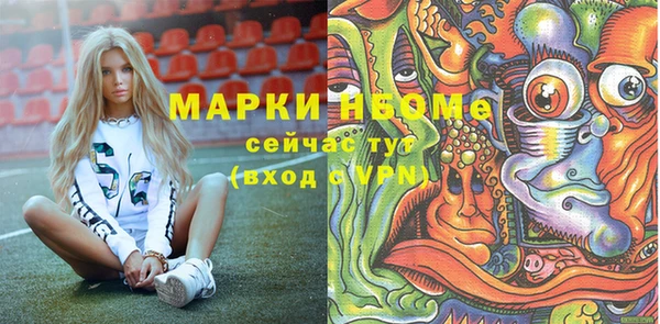 хмурый Дмитров