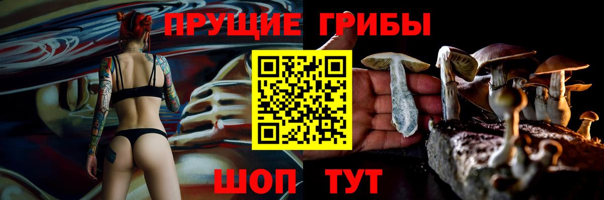 Зима  Галлюциногенные грибы Cubensis  Вход с VPN 
